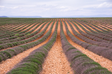 Similar image 22298719