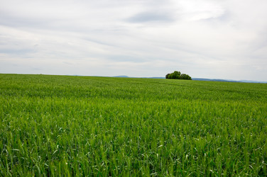 Similar image 22298720