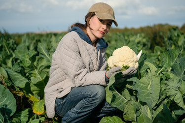 Similar image 22292674