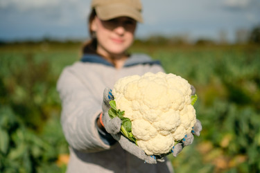 Similar image 22292675