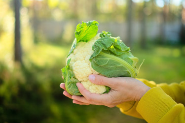 Similar image 22292676