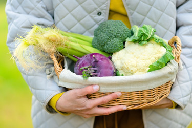 Similar image 22292679