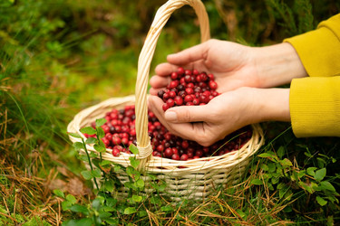 Similar image 22292682