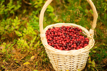 Similar image 22292683