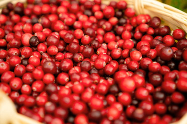 Similar image 22292684