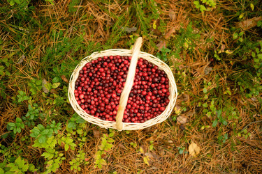 Similar image 22292685