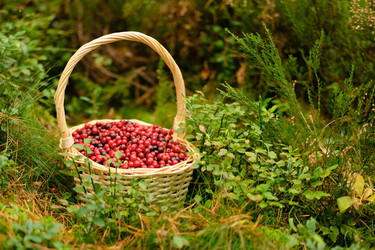 Similar image 22292687