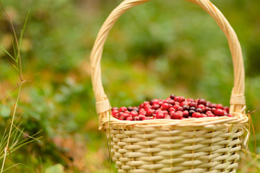 Similar image 22292688