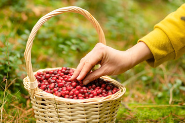 Similar image 22292689