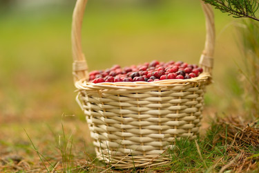 Similar image 22292690