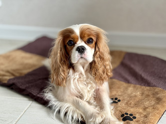 Similar image 22292269