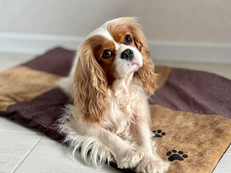 Similar image 22292270