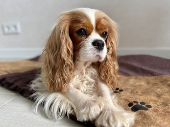 Similar image 22292271