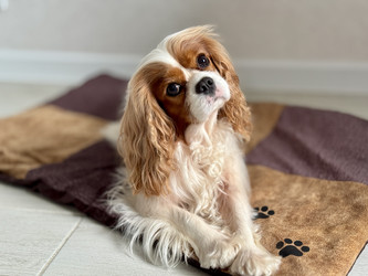 Similar image 22292272