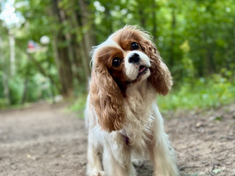 Similar image 22292275