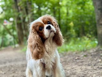 Similar image 22292276