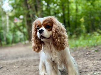 Similar image 22292277