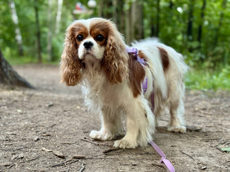 Similar image 22292278