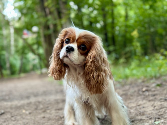 Similar image 22292279