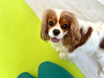 Similar image 22292280