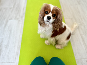 Similar image 22292281