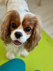 Similar image 22292282