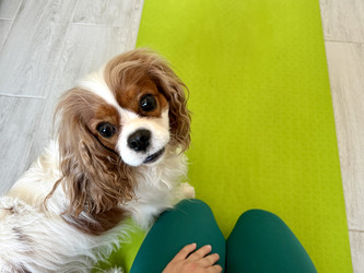 Similar image 22292283