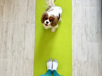 Similar image 22292284