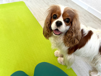 Similar image 22292285