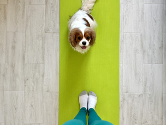 Similar image 22292286