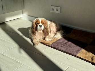 Similar image 22292287