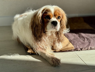 Similar image 22292288