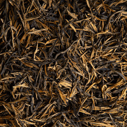 Similar image 22328830