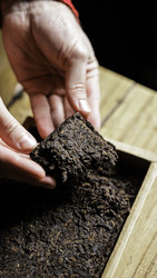 Similar image 22330001