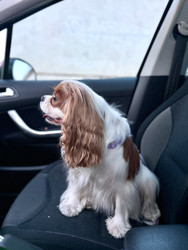 Similar image 22292290