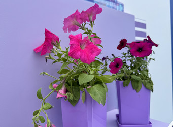 Similar image 22292302