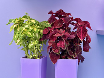 Similar image 22292355