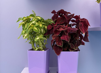 Similar image 22292356