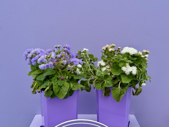 Similar image 22292383