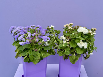 Similar image 22292384