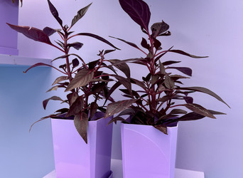 Similar image 22292385