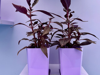 Similar image 22292386