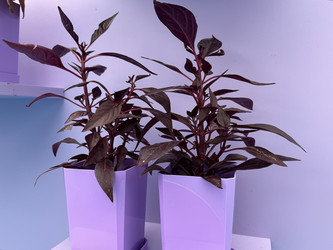 Similar image 22292387