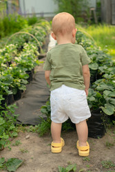 Similar image 22292711