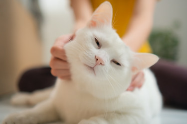 Similar image 22292415