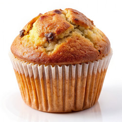 Similar image 22300024