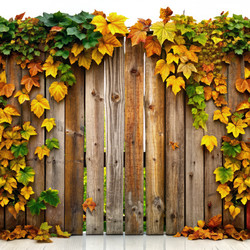 Similar image 22327483