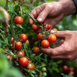 Similar image 22297131