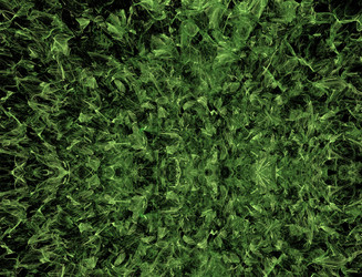 Similar image 22320589