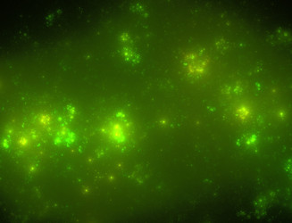 Similar image 22320682